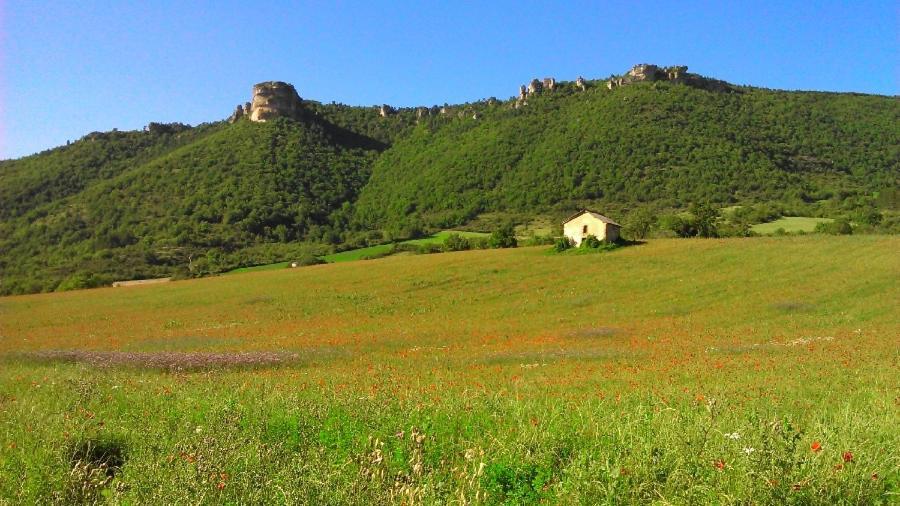 Gite Des Deux Rivieres Nant Εξωτερικό φωτογραφία
